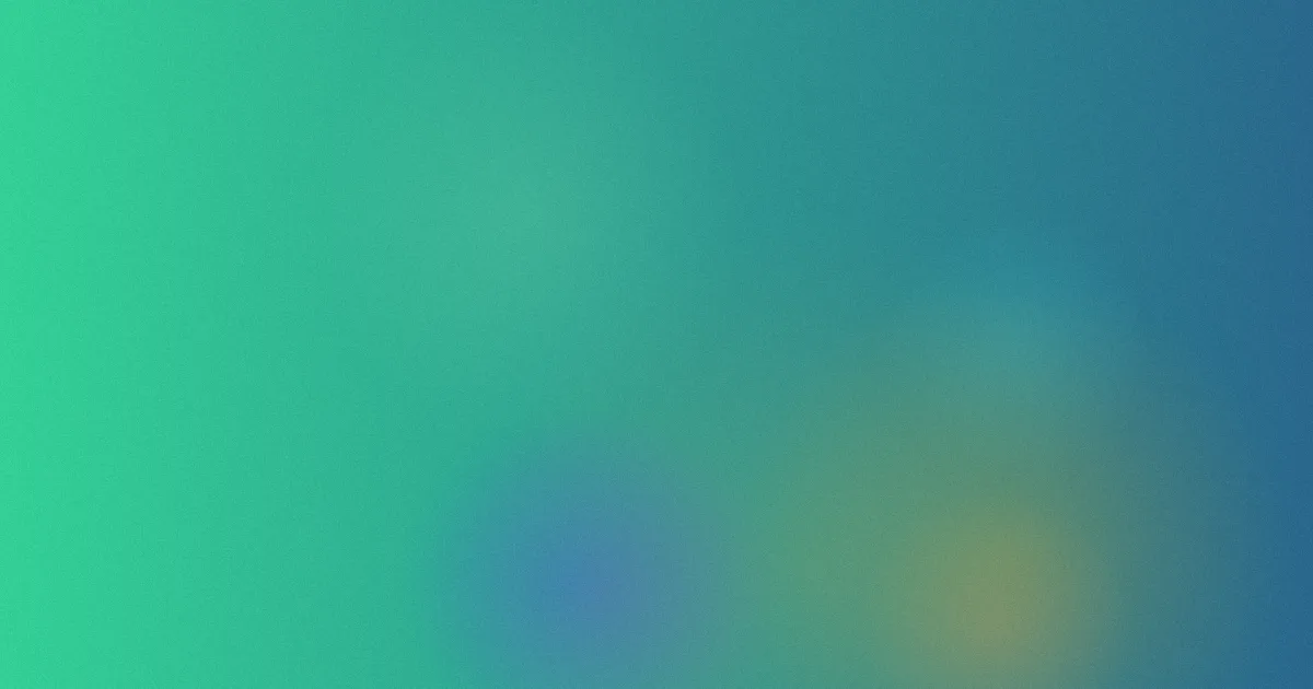 徐枫攻略：从影迷到研究者